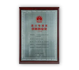 Innovation Award