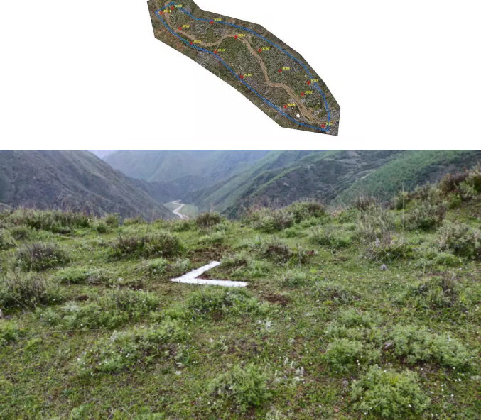 11000-topographic-mapping-project