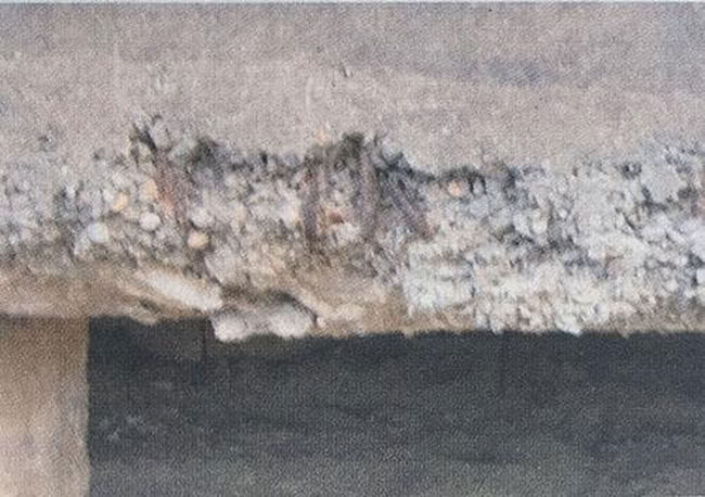 Pile-Cap-and-Bearing-Damage