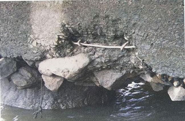 Pile-Cap-and-Bearing-Damage02