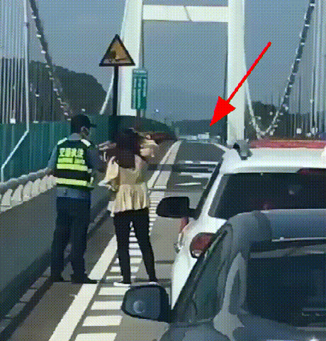 The-shaking-bridge-and-the-paused-traffic