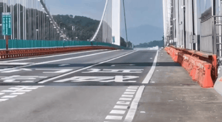 Wind-Induced Vibrations in Suspension Bridges: Lessons from the Humen Bridge Incident
