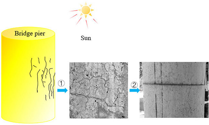 11223_2024_714_Fig1_HTML