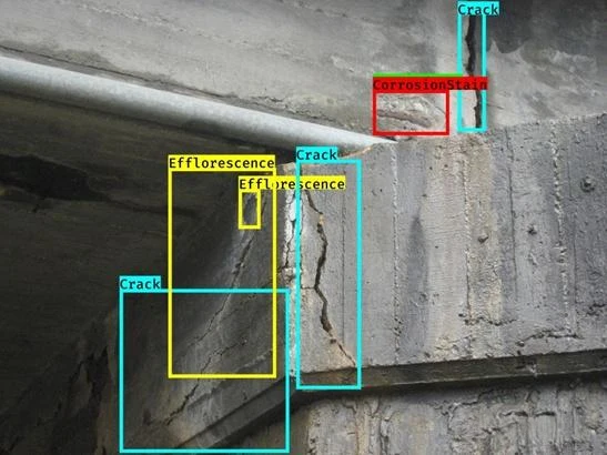 AI-automatically-identifies-diseases